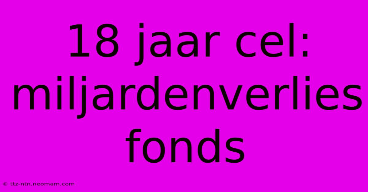 18 Jaar Cel: Miljardenverlies Fonds