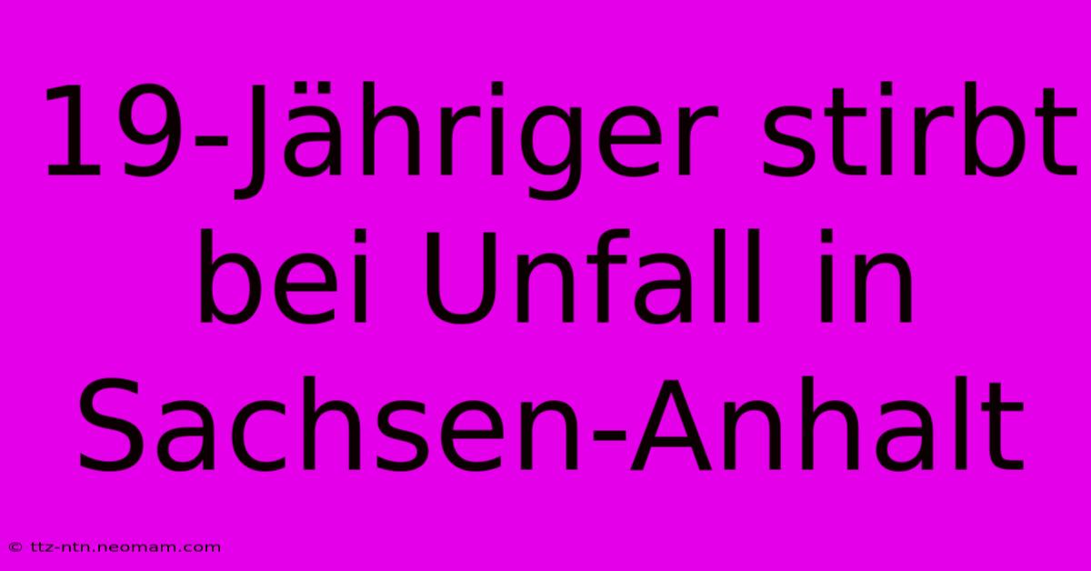 19-Jähriger Stirbt Bei Unfall In Sachsen-Anhalt