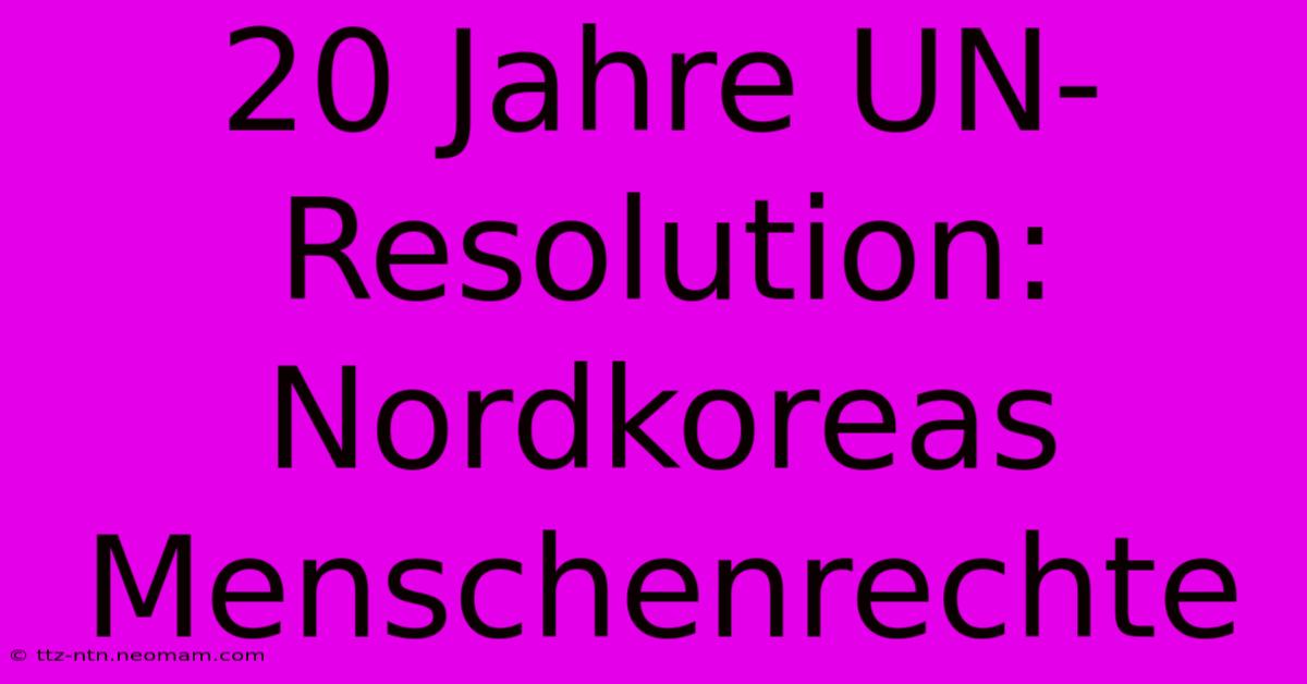 20 Jahre UN-Resolution: Nordkoreas Menschenrechte