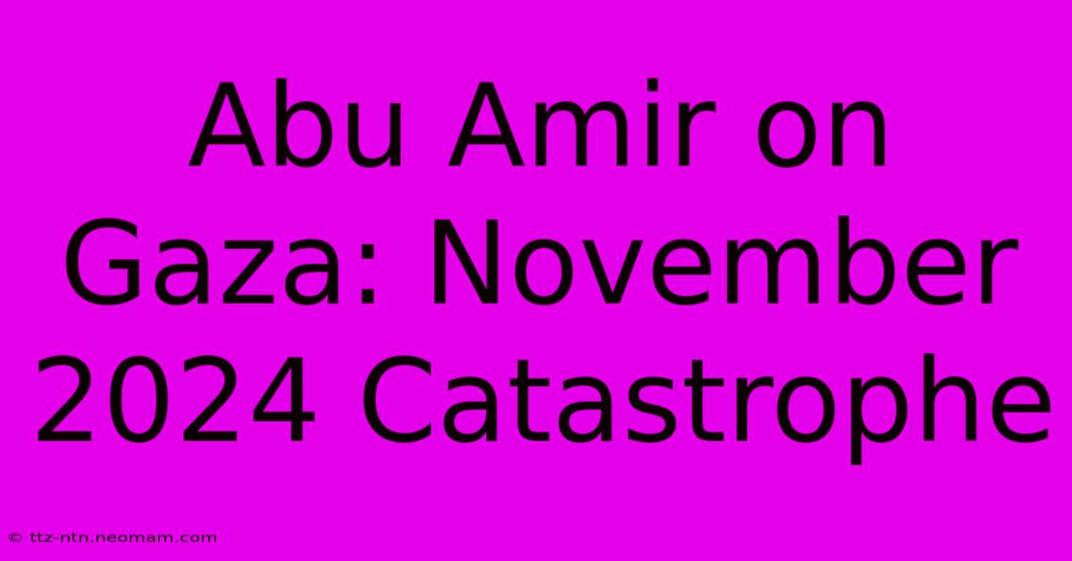 Abu Amir On Gaza: November 2024 Catastrophe