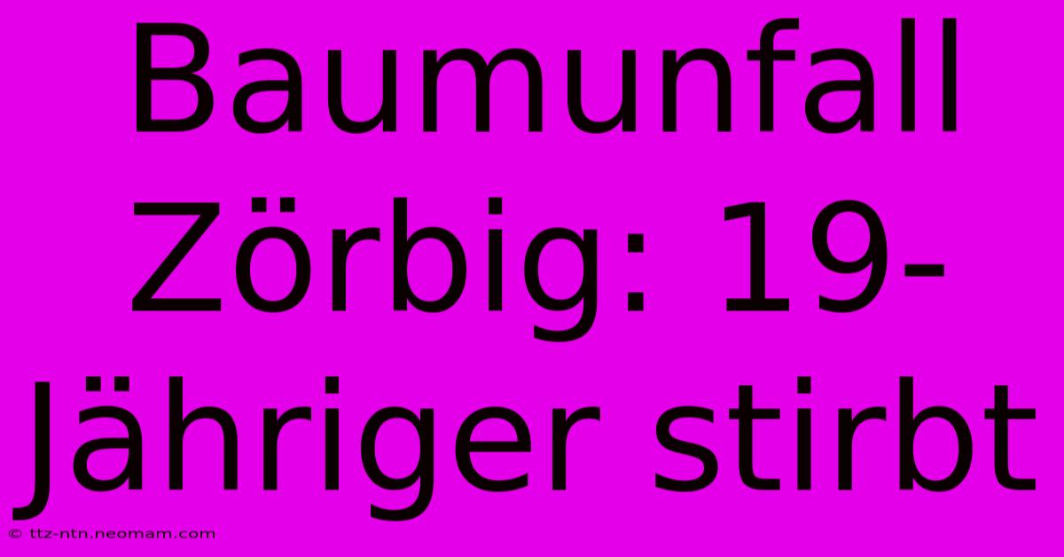 Baumunfall Zörbig: 19-Jähriger Stirbt