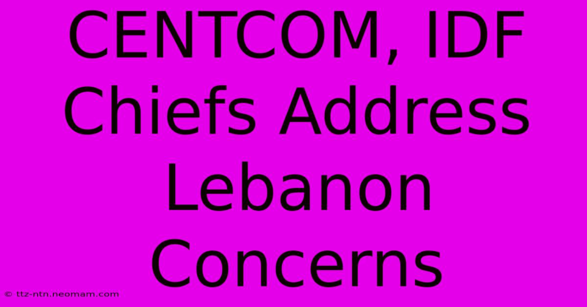 CENTCOM, IDF Chiefs Address Lebanon Concerns