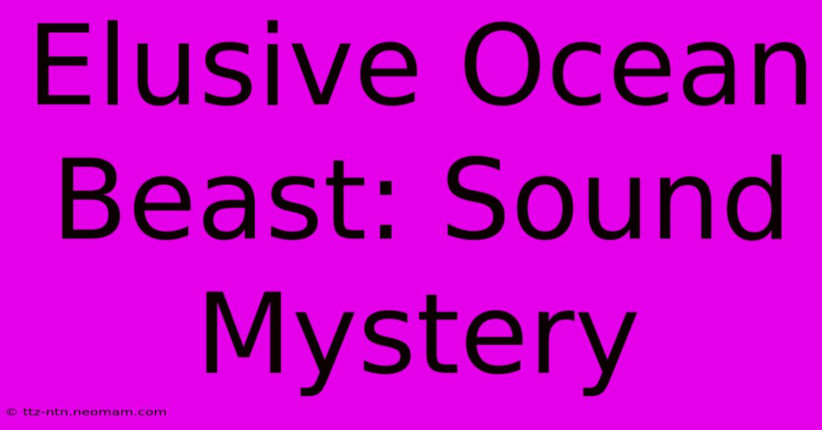 Elusive Ocean Beast: Sound Mystery