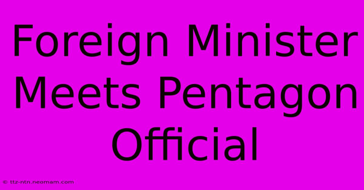 Foreign Minister Meets Pentagon Official