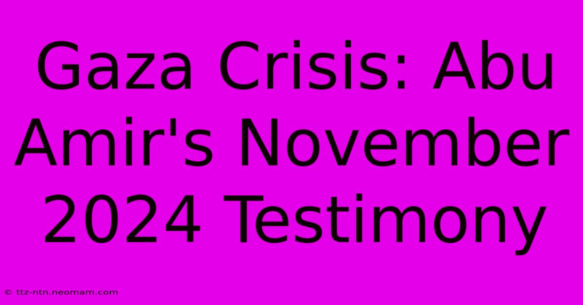 Gaza Crisis: Abu Amir's November 2024 Testimony