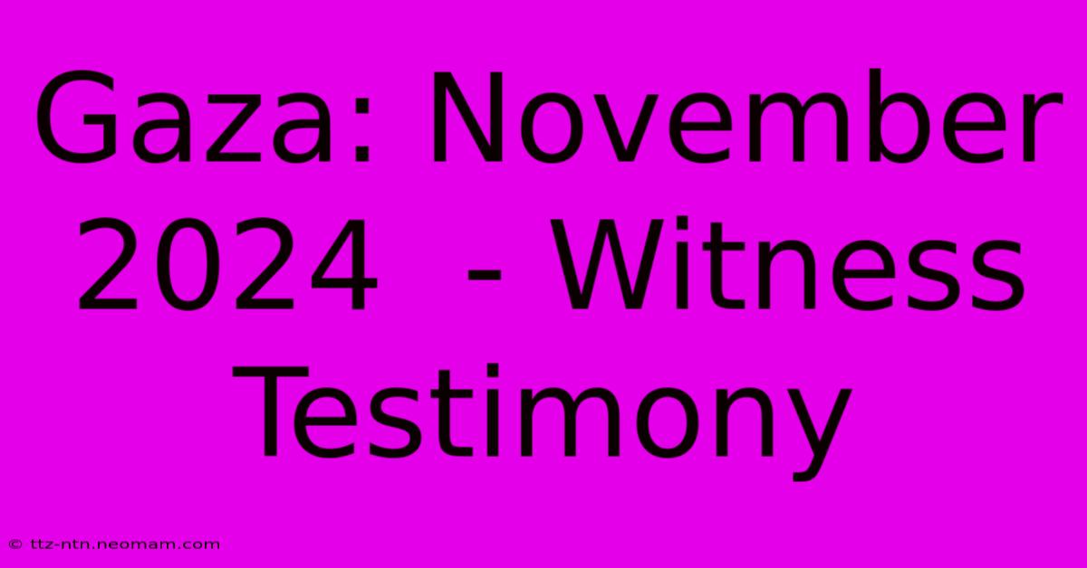 Gaza: November 2024  - Witness Testimony