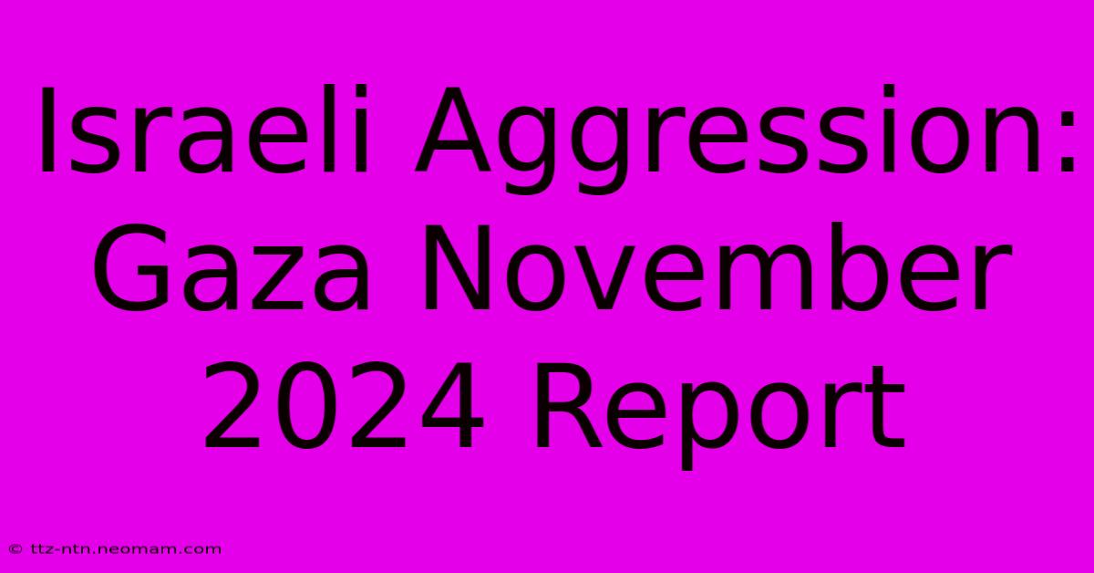 Israeli Aggression: Gaza November 2024 Report