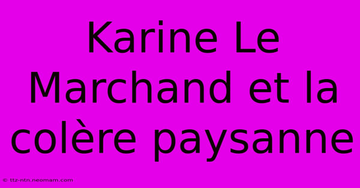 Karine Le Marchand Et La Colère Paysanne