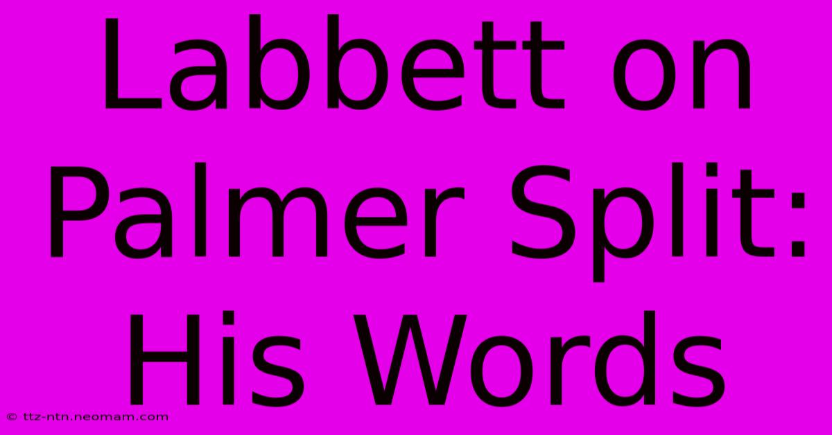 Labbett On Palmer Split: His Words