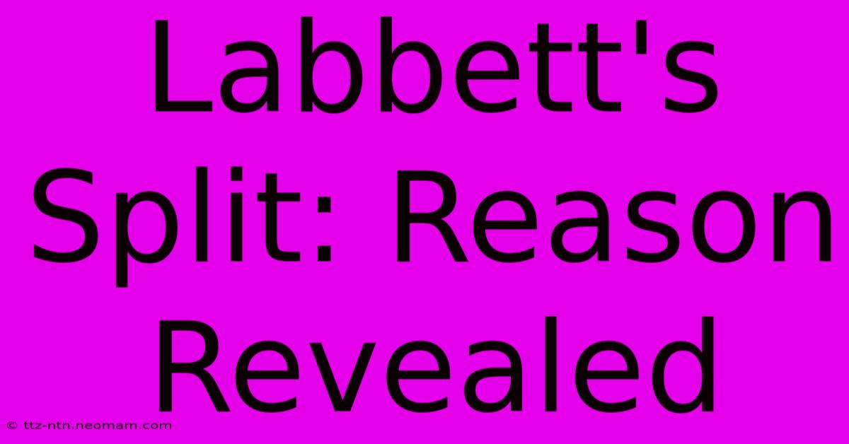 Labbett's Split: Reason Revealed