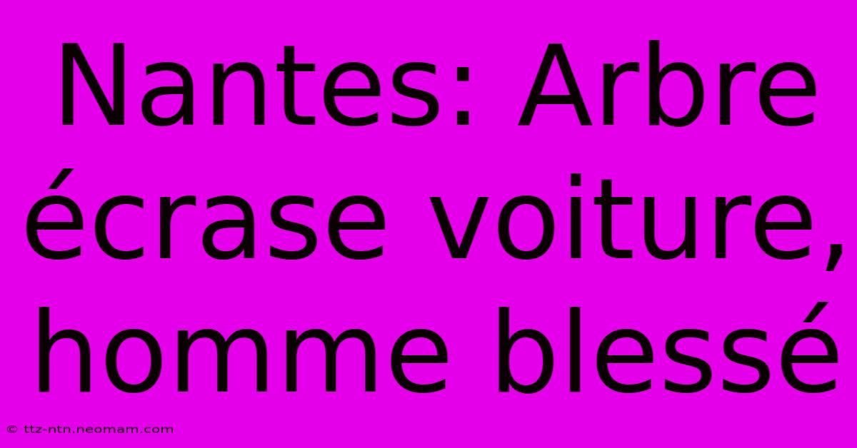 Nantes: Arbre Écrase Voiture, Homme Blessé