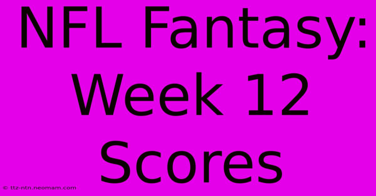 NFL Fantasy: Week 12 Scores