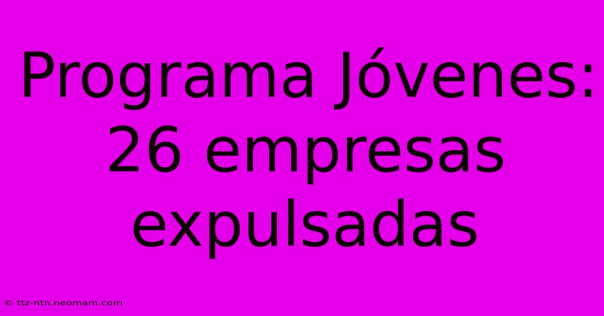 Programa Jóvenes: 26 Empresas Expulsadas