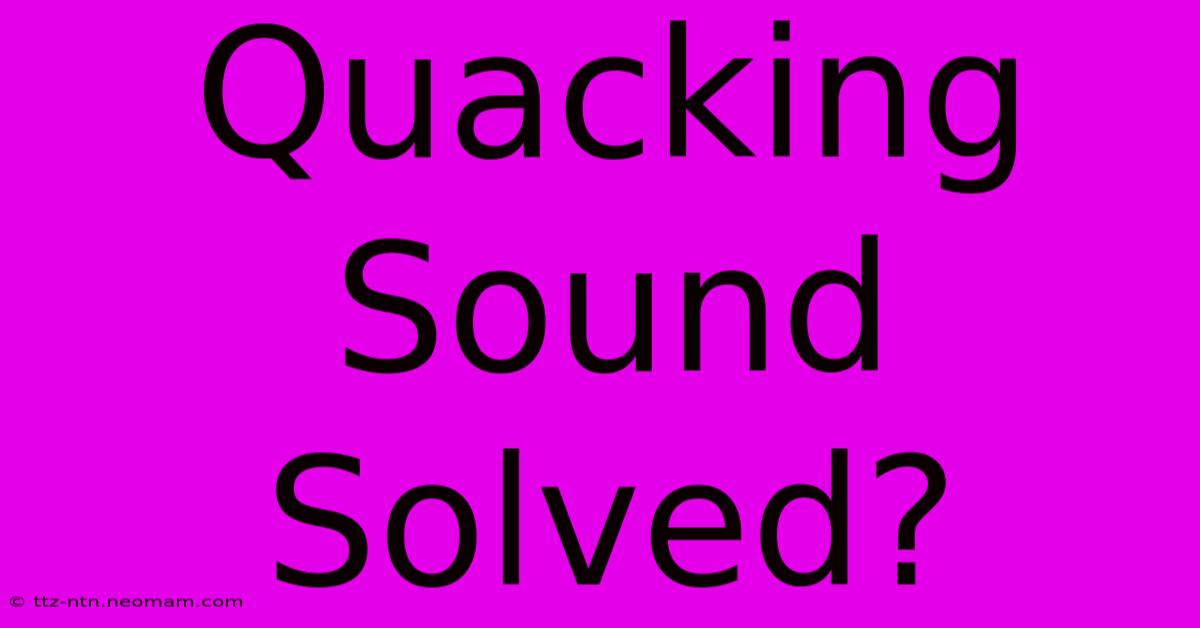 Quacking Sound Solved?