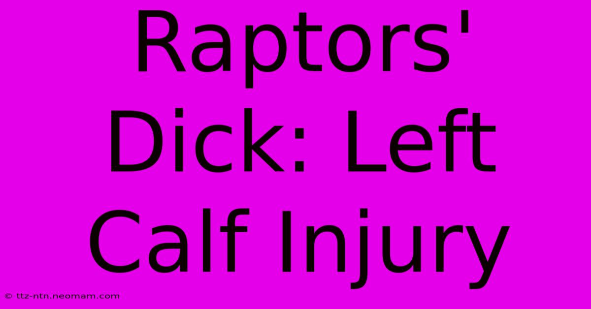 Raptors' Dick: Left Calf Injury