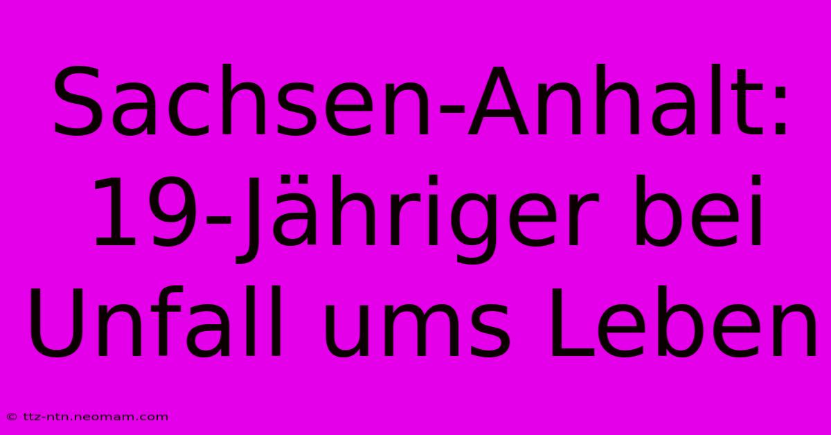 Sachsen-Anhalt: 19-Jähriger Bei Unfall Ums Leben