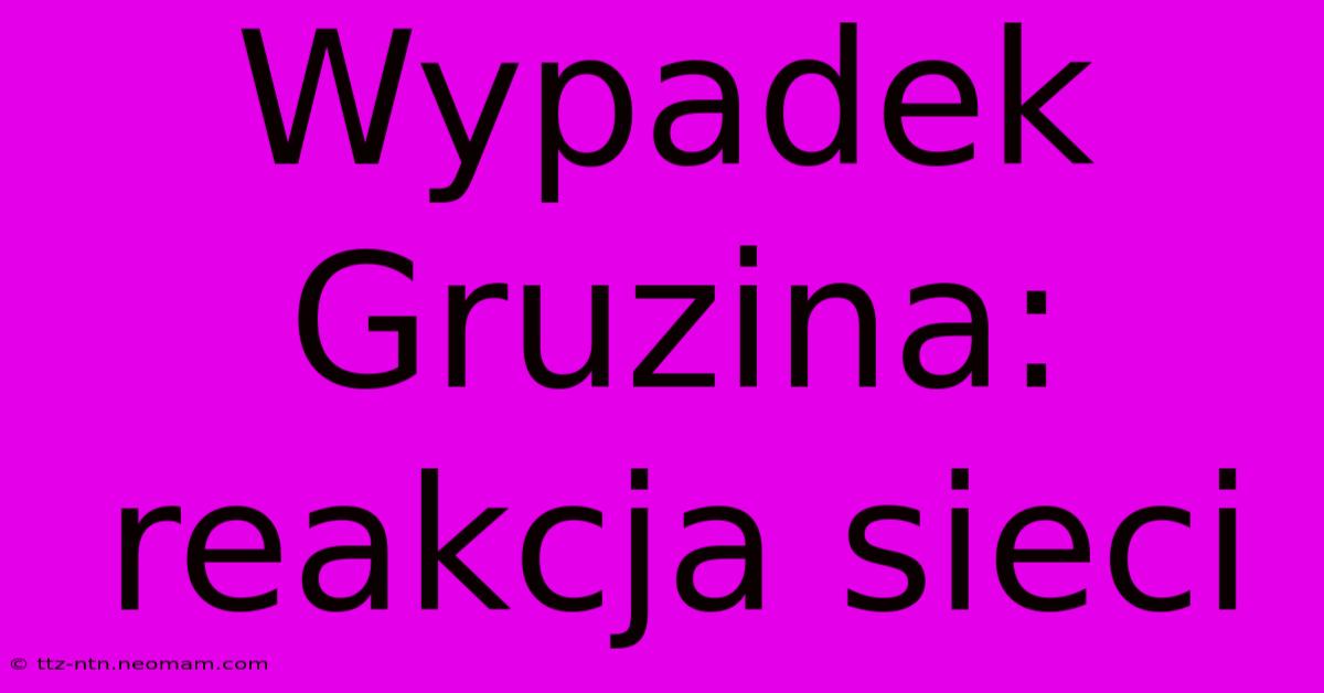 Wypadek Gruzina: Reakcja Sieci